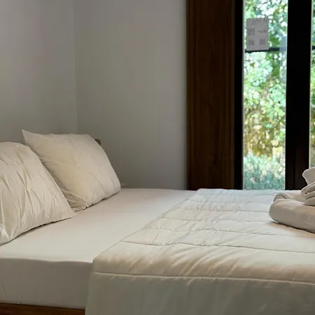 La Casa De La Escalera 3 * Cordoba